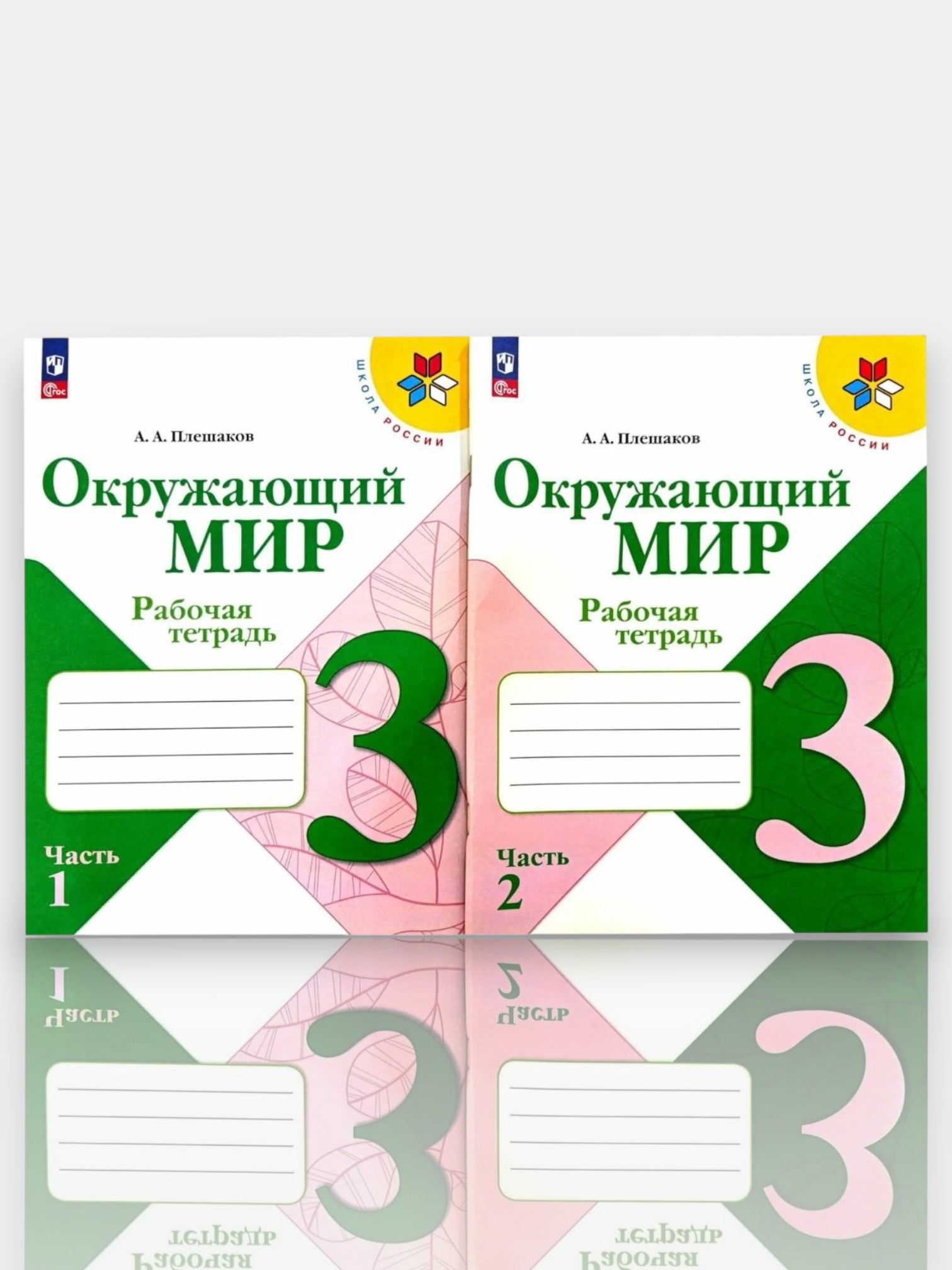 cn4d319s99ouqbfu2qu0 (1)-Photoroom (3)